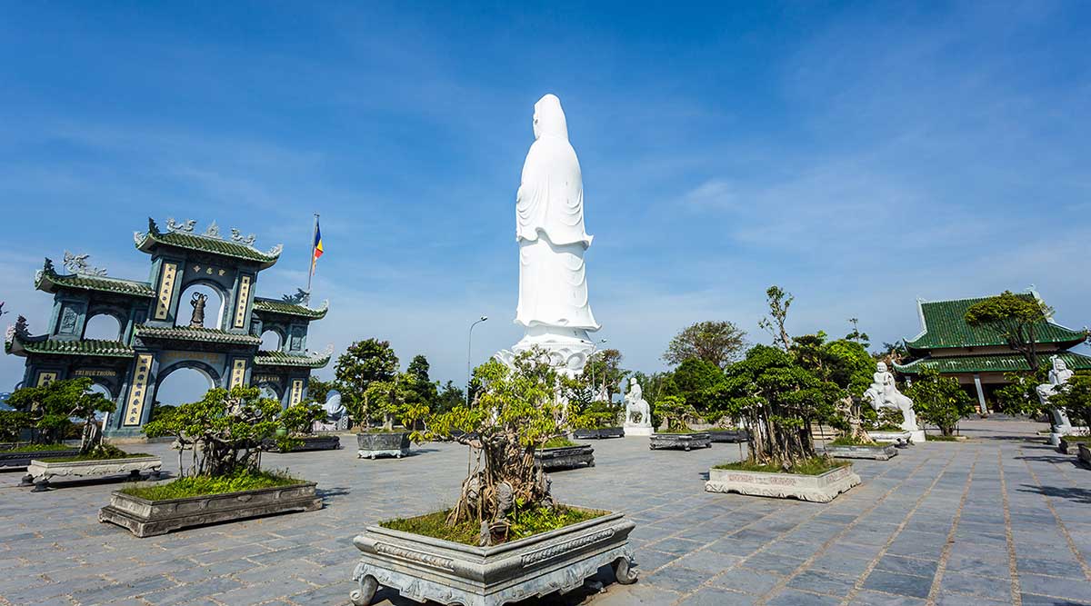 Ban dao son tra