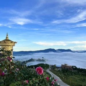 Tour Du Lịch Đà Lạt 3 Ngày 2 Đêm Khởi Hành Từ Hồ Chí Minh
