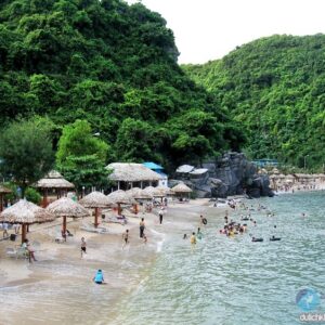 Đảo khỉ du lịch cát bà