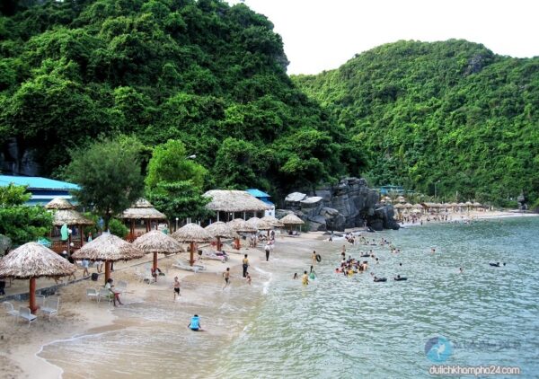 Đảo khỉ du lịch cát bà