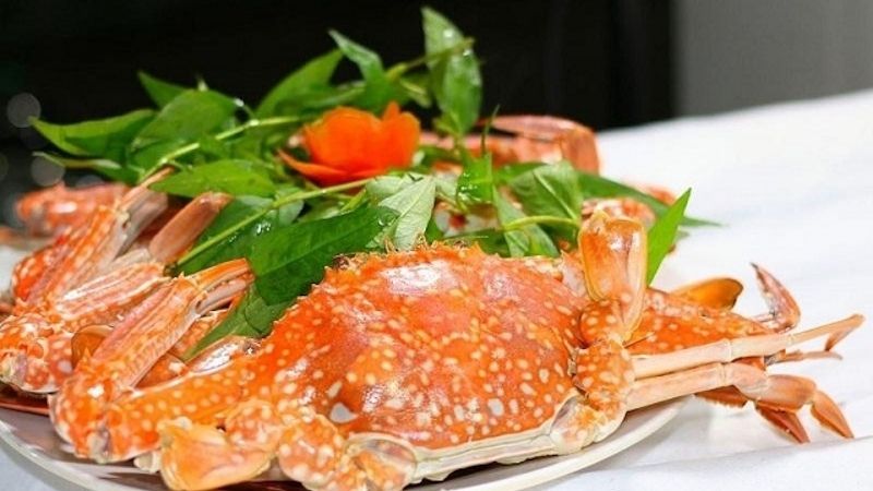 Ghẹ
Kinh Nghiệm Du Lịch Cửa Lò – Quê Bác Hồ - Mới Nhất Năm 2025