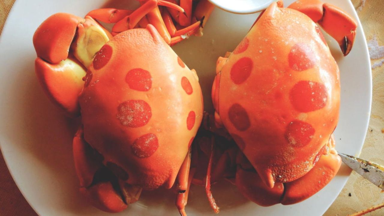 Cua mặt trăng