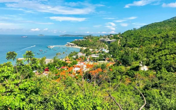 Rừng nguyên sinh Cù Lao Chàm